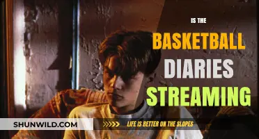 Where to Stream The Basketball Diaries?
