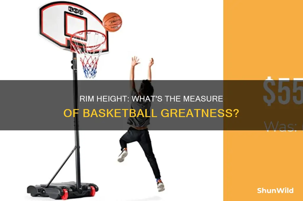 is the basketball height measured to the rim
