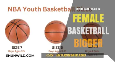 Female Basketball: Is the Ball Size Different?
