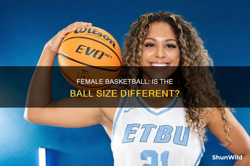 is the basketball in female basketball bigger