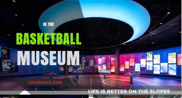 The Basketball Museum: A Tribute to the Sport's Rich History