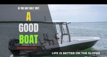 Bay Bolt 19ft: A Good Boat Option?