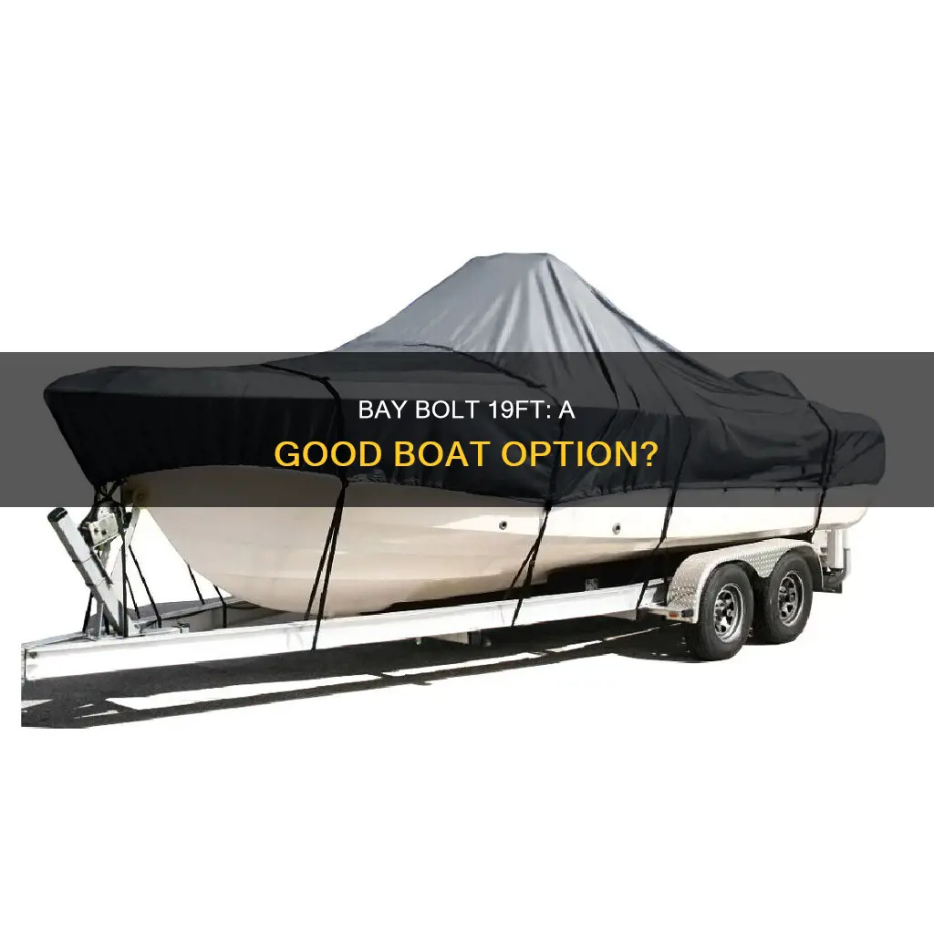 is the bay bolt 19ft a good boat