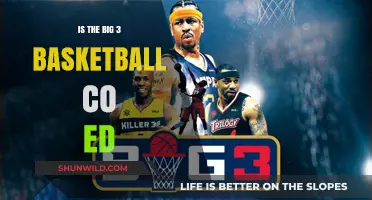The Big 3 Basketball: Co-Ed Revolution