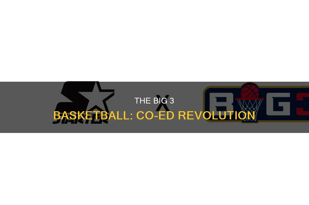 is the big 3 basketball co ed