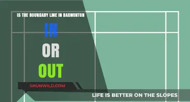 Badminton's Boundary Line: In or Out?
