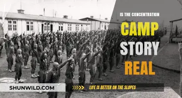 Unveiling the Truth: Are Concentration Camp Narratives Historically Accurate?