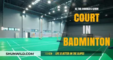 The Doubles Serve: Own the Court