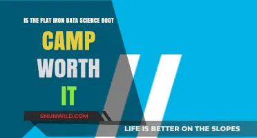 Is Flat Iron Data Science Boot Camp a Worthwhile Investment?