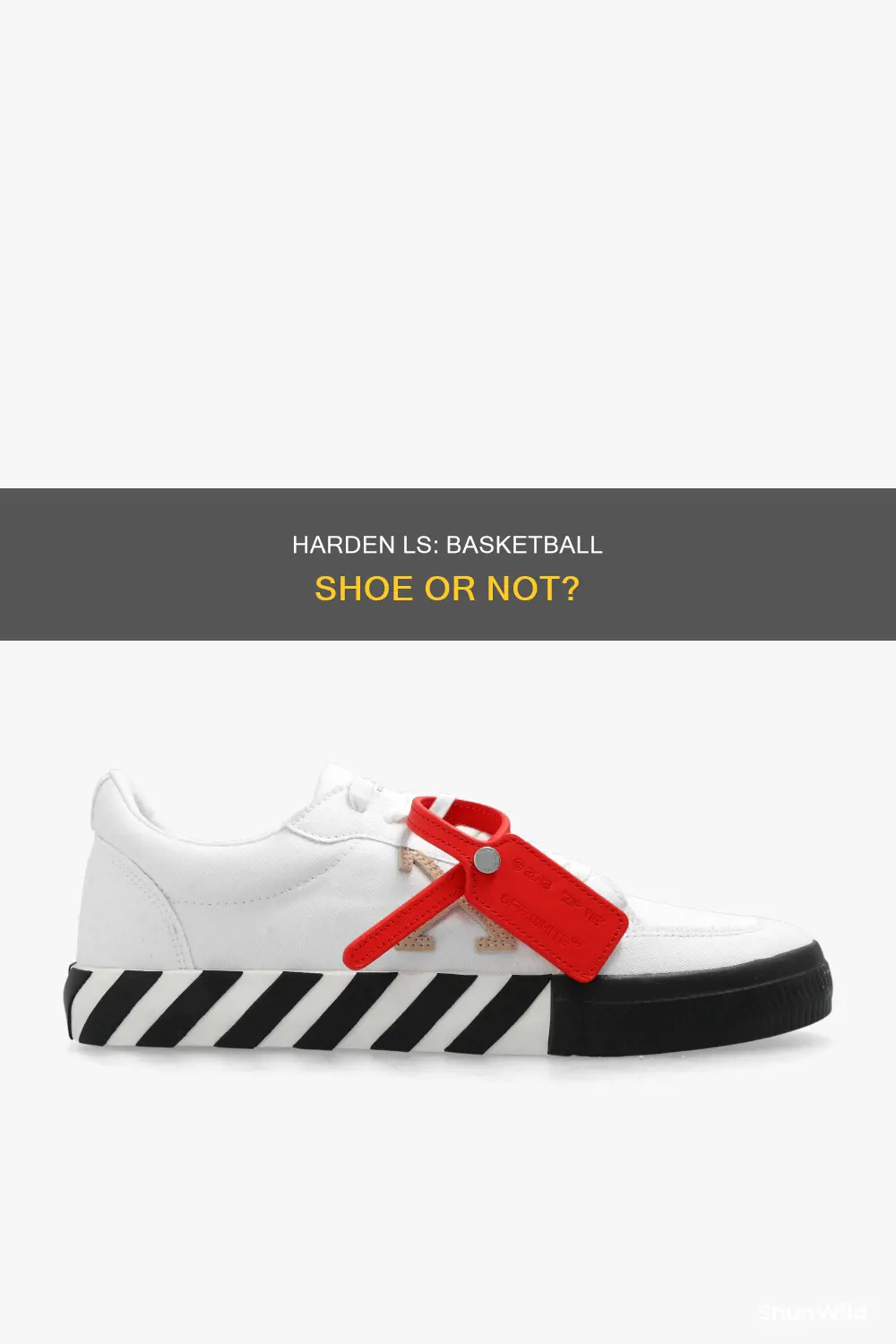 is the harden ls a basketball shoe