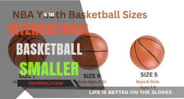 Basketball Size: International Standards and Variations