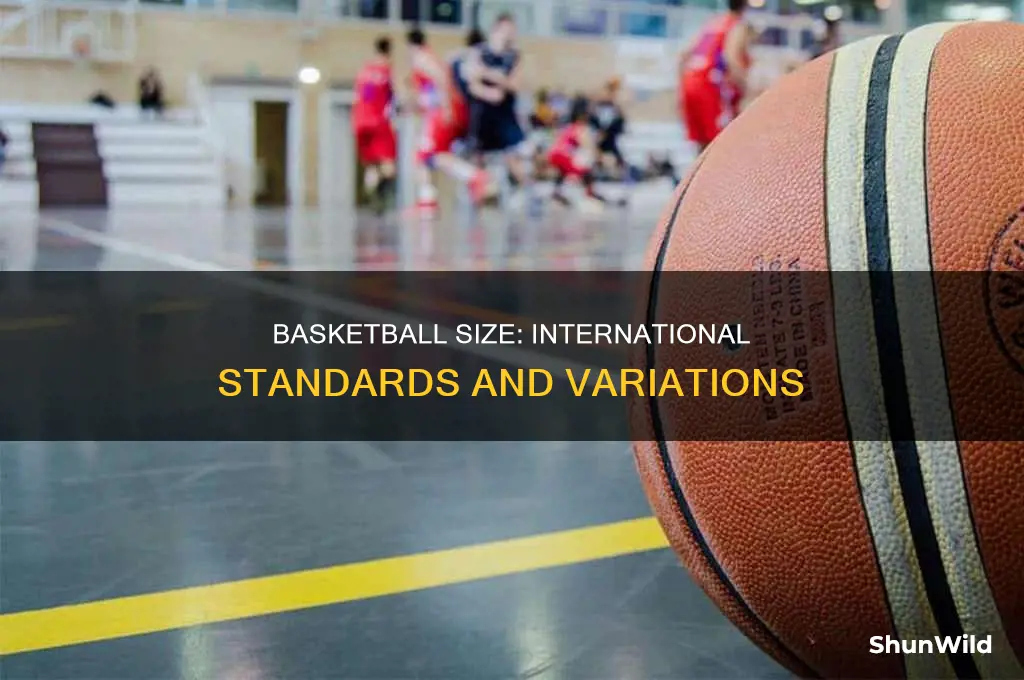 is the international basketball smaller
