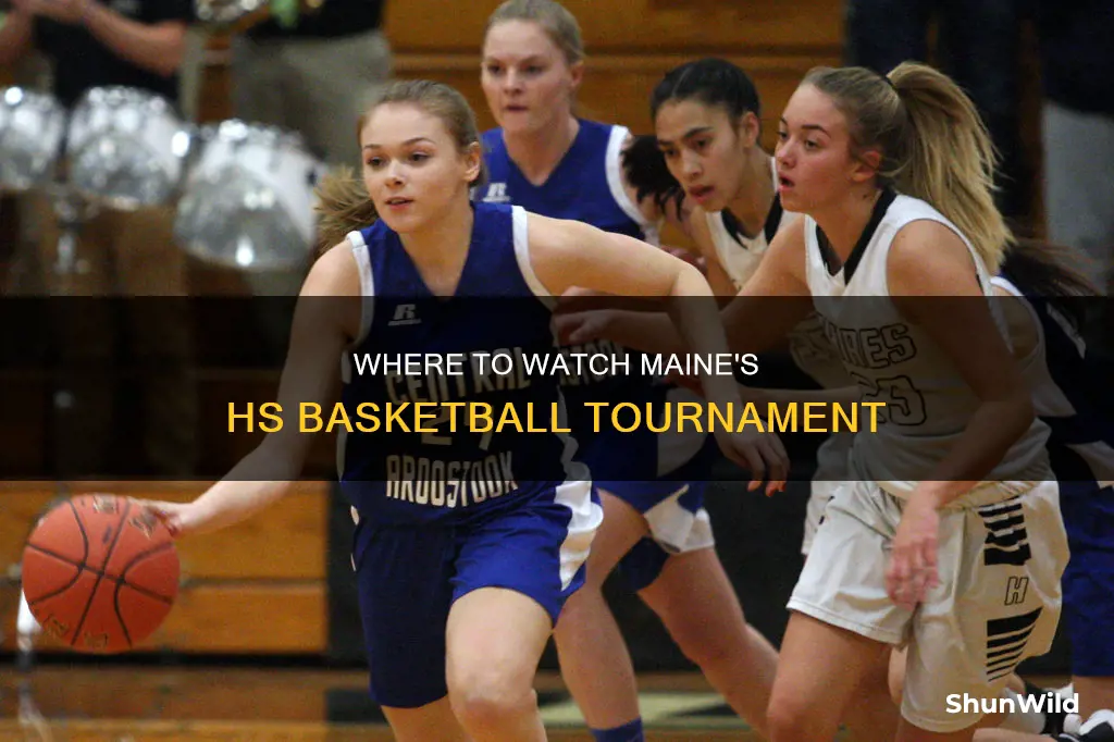 is the maine high school basketball tournament on tv