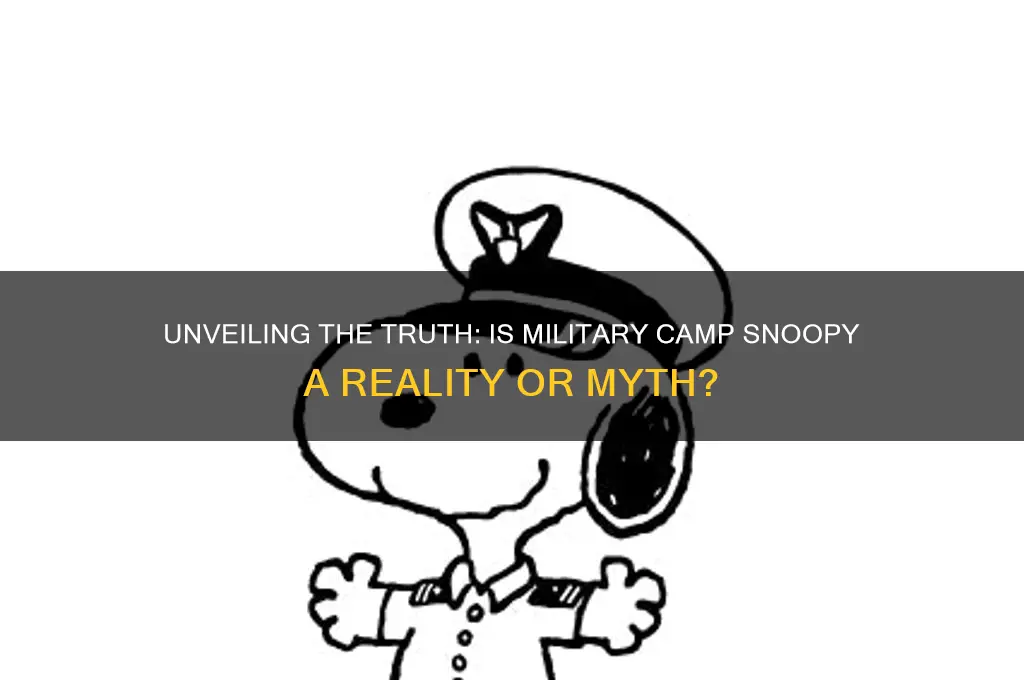 is the military camp snoopy