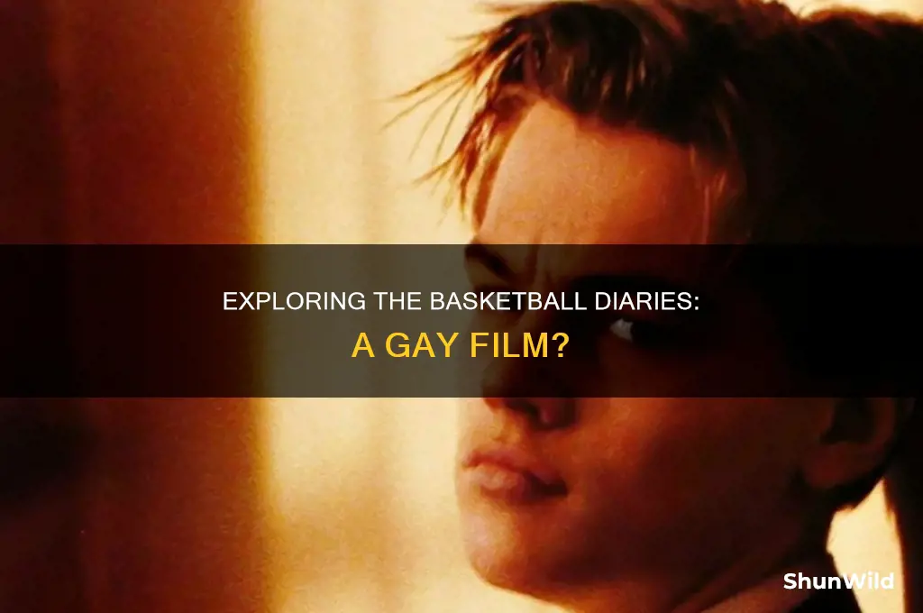 is the movie the basketball diaries a gay film