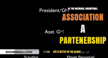 NBA: A Partnership or Sole Proprietorship?
