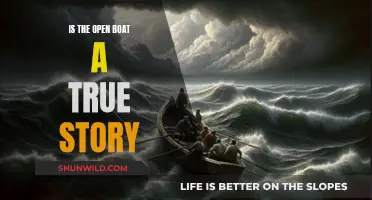 The Open Boat: Fact or Fiction?