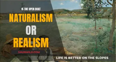 Naturalism vs. Realism: Analyzing "The Open Boat