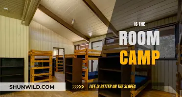 Exploring the Quirky Charm of 'The Room': Is It Camp?