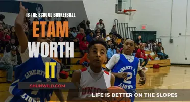 Basketball Dreams: Is the School Team Worthwhile?