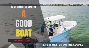 Seahunt 25 Gamefish: A Worthy Boat?