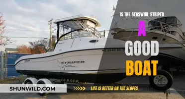 Seaswirl Striper: A Worthy Boat?