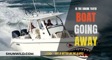 Shark Tooth Boat: Is This Watercraft Trend Sinking?