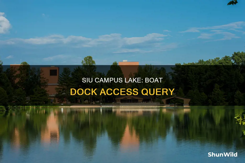 is the siu campus lake boat dock still open