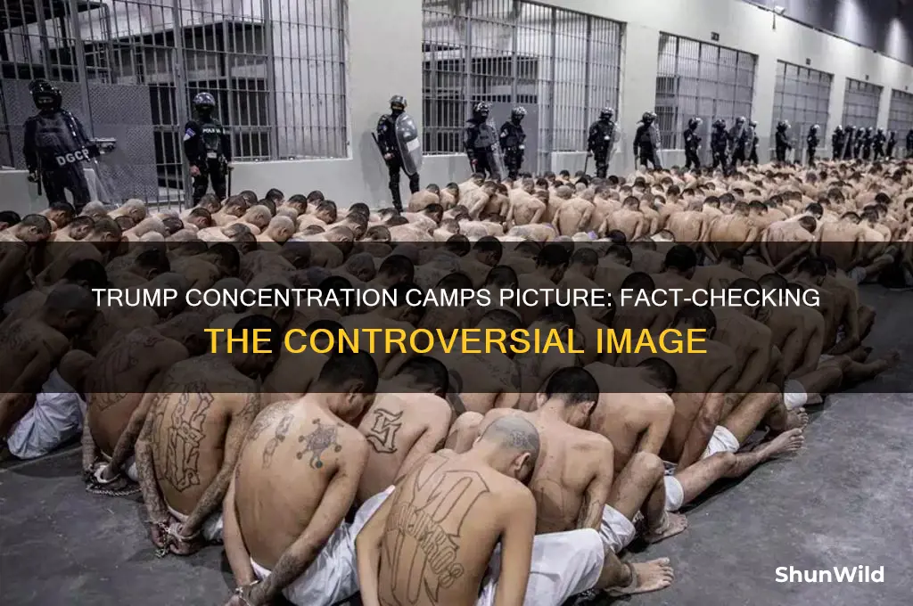 is the trump concentration camps picture real