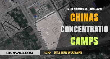 UN's Response to China's Concentration Camps: Action or Inaction?