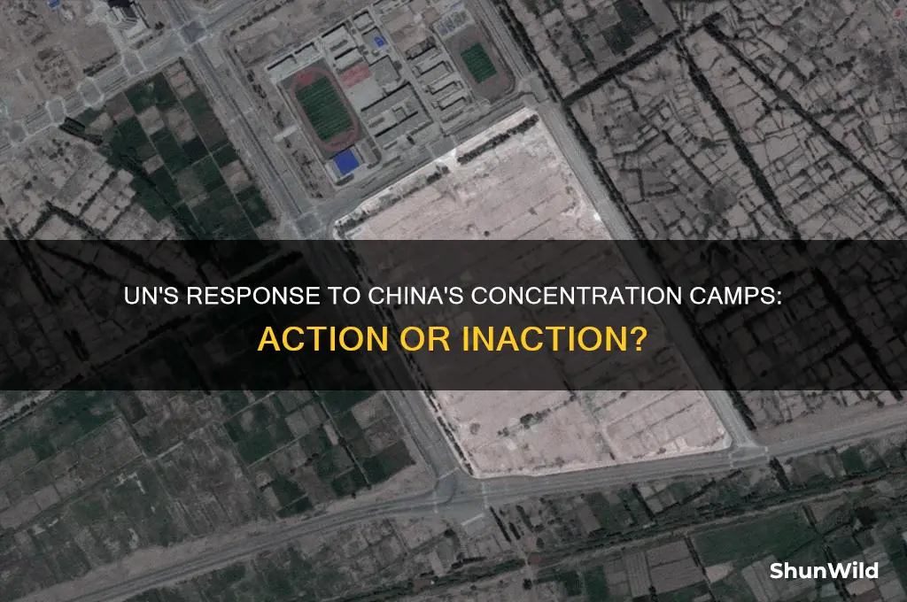 is the un doing anything about chinas concentration camps