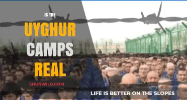 Uyghur Camps: Uncovering the Truth Behind China's Detention Facilities