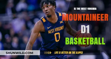 West Virginia Mountaineers: A D1 Basketball Legacy