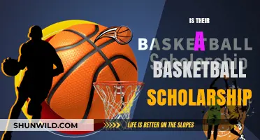 How Basketball Skills Can Fund Your Education