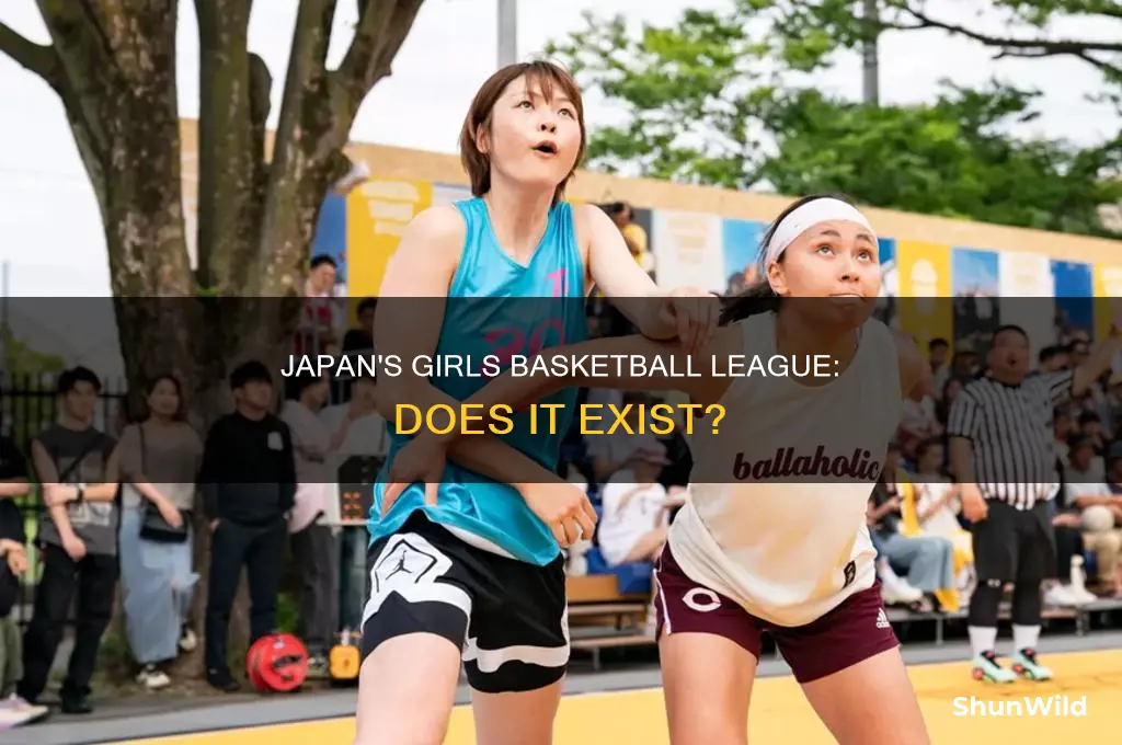 is their girls basketball league in japan