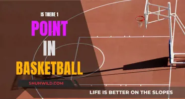 The Evolution of Basketball: Is One Point Enough?