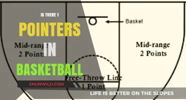 The Art of 1-Pointers: Basketball's Unique Skill