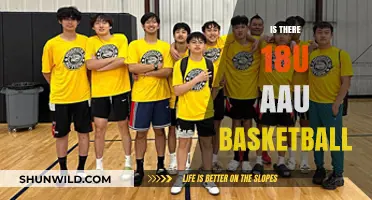 AAU Basketball: 18U Competitive Scene Explained