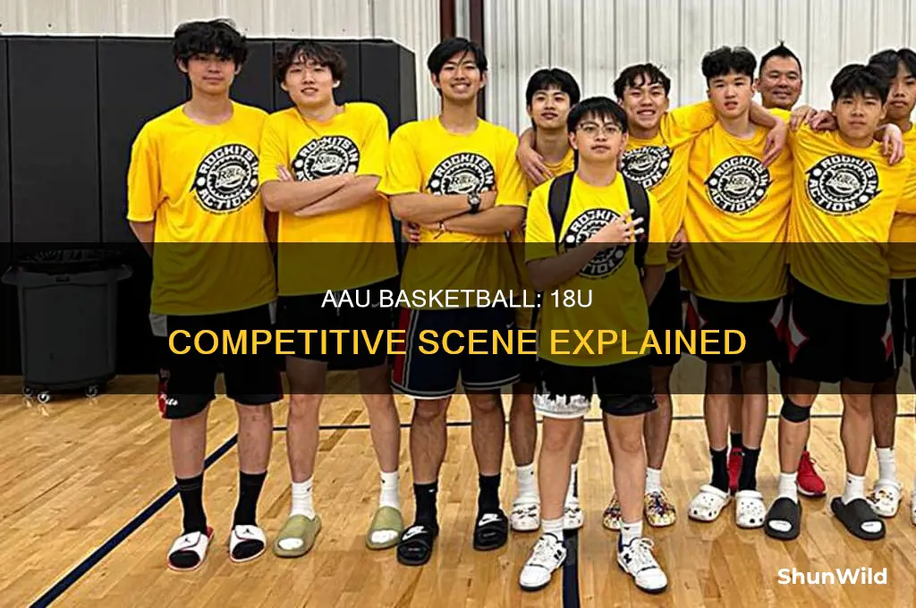 is there 18u aau basketball
