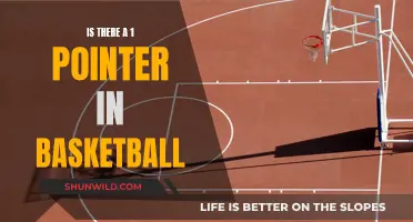 The Elusive 1-Pointer: Basketball's Uncommon Hero