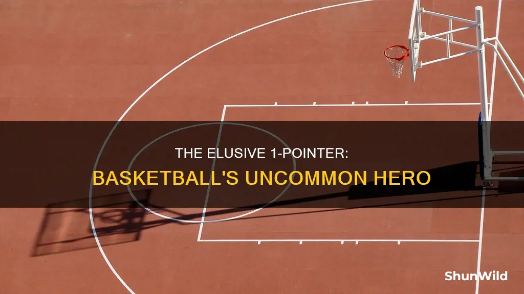 is there a 1 pointer in basketball