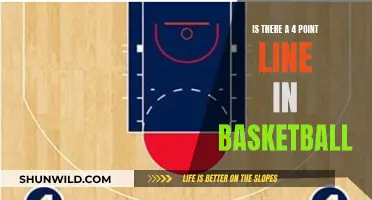 Exploring Basketball's Potential: The 4-Point Line