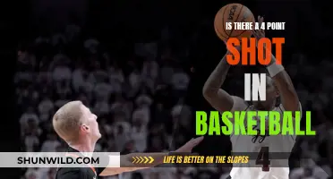 The Evolution of Basketball: Exploring the 4-Point Shot