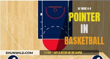 The Elusive 4-Pointer: Basketball's Unseen Gem
