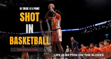 The Truth About the 5-Point Shot in Basketball