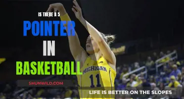 The Elusive 5-Pointer: Basketball's Ultimate Achievement?