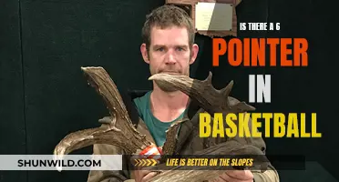 The Mystery of the Six-Pointer: Unlocking Basketball's Secret Score