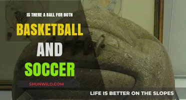 The Ultimate Hybrid: Balls for Basketball and Soccer