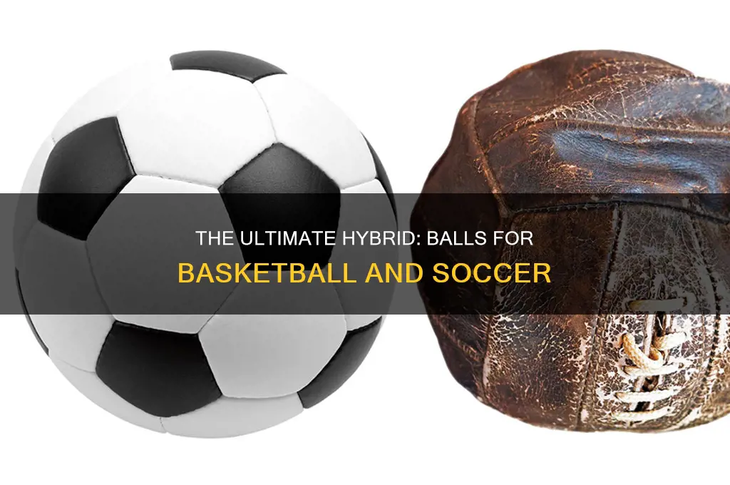 is there a ball for both basketball and soccer