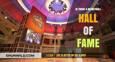 Basketball's Hall of Fame: Legends and Their Legacy